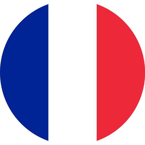 france flag round small